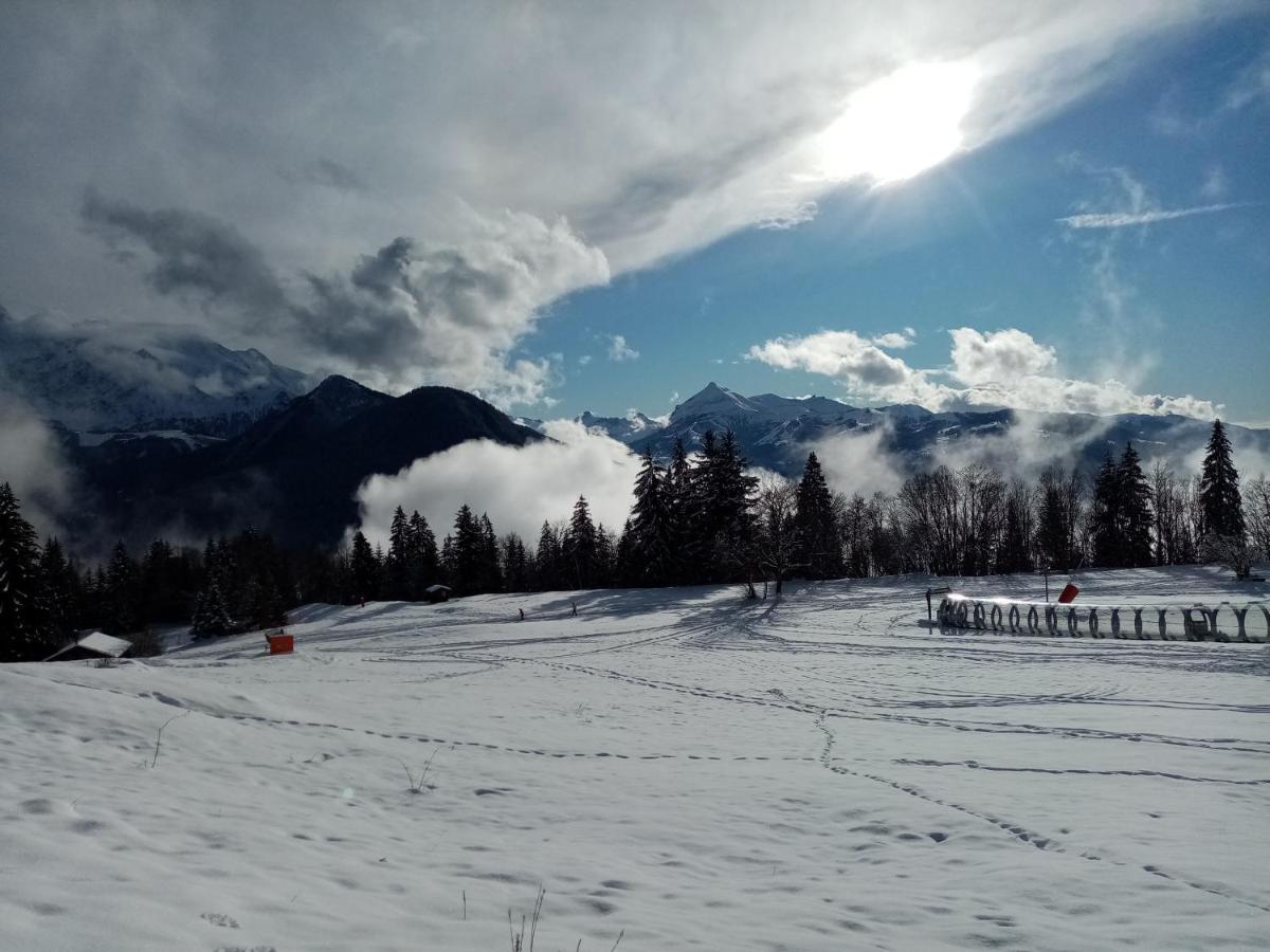 Mont Etape , F2, 42 M2, Calme, Vue Mt Blanc Διαμέρισμα Passy  Εξωτερικό φωτογραφία