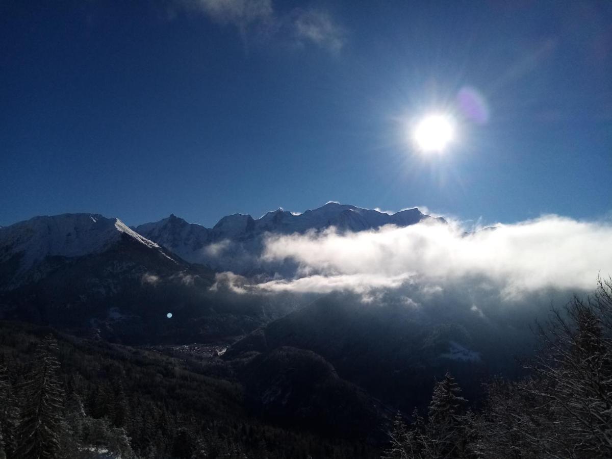 Mont Etape , F2, 42 M2, Calme, Vue Mt Blanc Διαμέρισμα Passy  Εξωτερικό φωτογραφία
